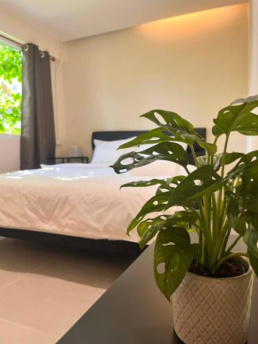 Embassy District Hotel | EAIN-WORKplusSTAY