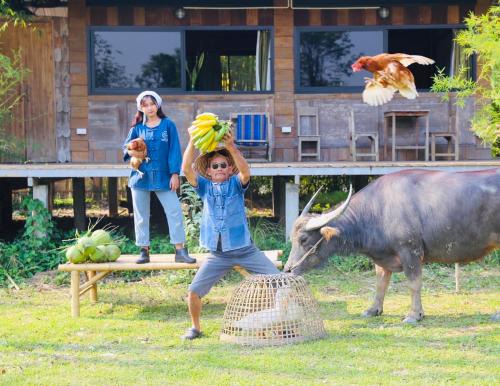 San Klang House | Hang Tueng farm stay Chiang Mai แฮงตึง ฟาร์มสเตย์ เชียงใหม่