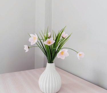 Don Kaeo Apartment | Donkaew minimalist townhouse 4
