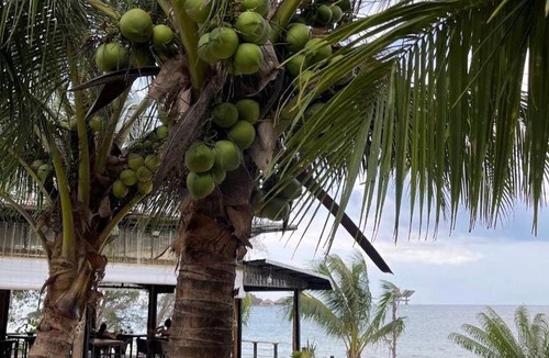 Koh Rong Hotel | Infinity Beach Bungalows And Restaurant