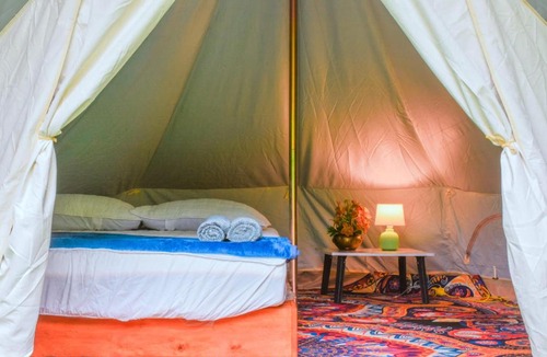 Phanom Other | Khaosok Eco Jungle Camp