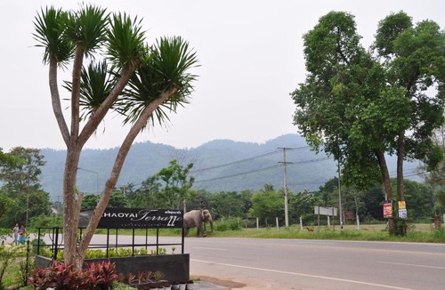 Mu Si Hotel | Khaoyai Terrazzo
