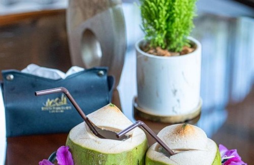 Damnoen Saduak Resort | Khum Damnoen Resort - Ratchaburi