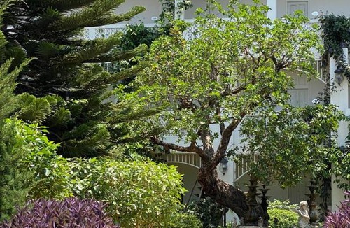 Nai Mueang Hotel | Koranaree Courtyard Boutique Hotel