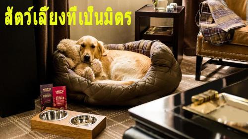Warin Chamrap Resort | Mini-golf * & Resort Ubon Ratchathani