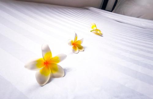 Patong Apartment | Patong Canal Villa 210