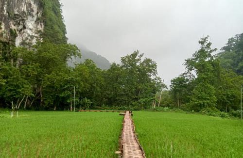 Louangphabang Other | Phathokcamping