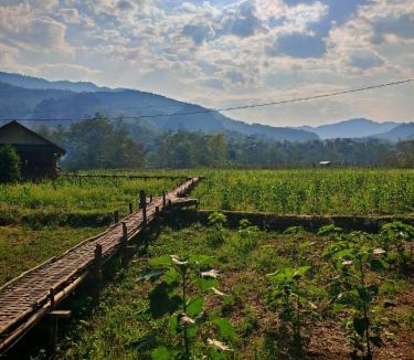 Louangphabang Other | Phathokcamping