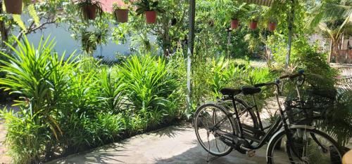 Siem Reap House | The Purple House