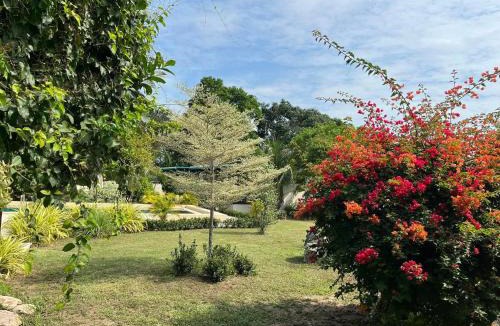 Pong Hotel | TRANQUILITY Resort
