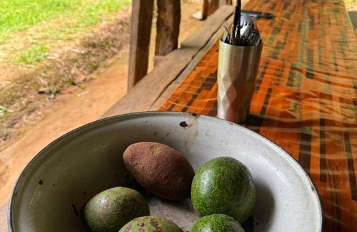 Samoeng Other | Watchara organic farm
