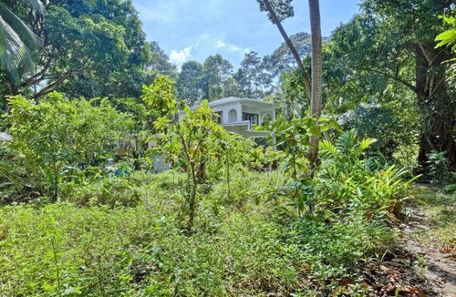Srithanu Villa | Yang Naa Tree Villa |
