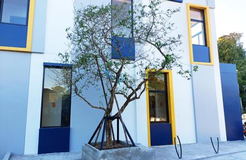 Phon Thong Hotel | Yello Block Hotel