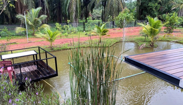 ที่พัก ใกล้เมืองสุราษฎร์ธานี in Surat Thani