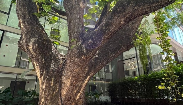6* Luxury @ The Heart of Bangkok in the Most Exclusive Zone in Bangkok in Krung Thep Maha Nakhon
