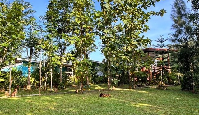 Baansuan Suksangob Farm Stay in Trang