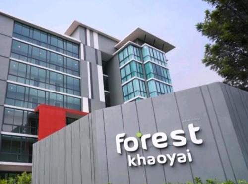 Bird's nest forest khaoyai in Pak Chong