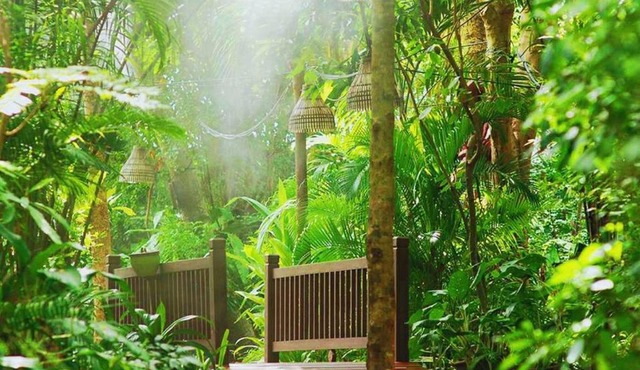 Birds and Bees Resort