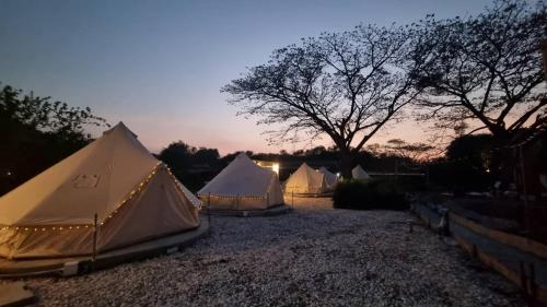 Cat A Camp - Khao Yai in Pak Chong