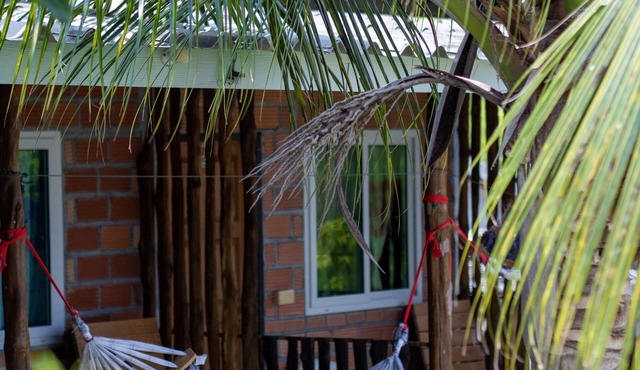 Cat Bungalow in Ko Lanta