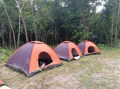 Chansor Homestay 3 By Siem Reap Homesteading in Phumĭ Trach Pôk (2)
