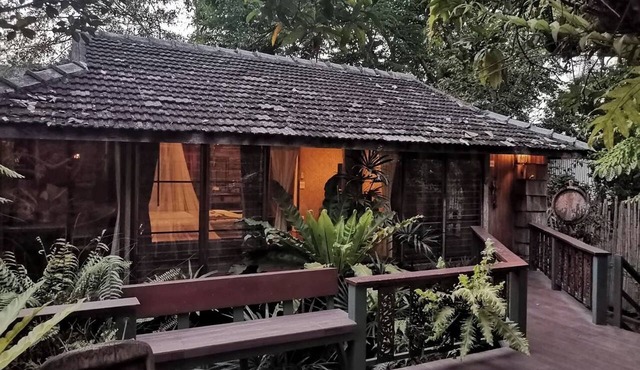 Fern Paradise in San Sai