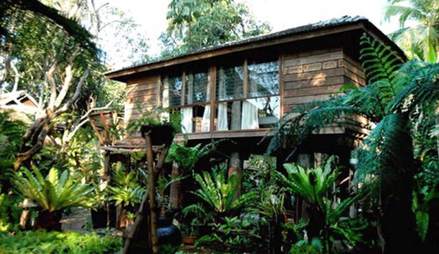 Fern Paradise in San Sai