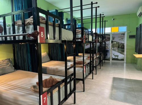 Khaosok jungle hostel Branch 1 in Khao Sok National Park