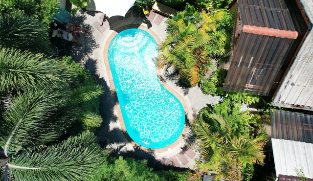 Leon Oasis resort: 3 Pool Bungalows on Nai Harn beach road, Rawai, Phuket in Rawai
