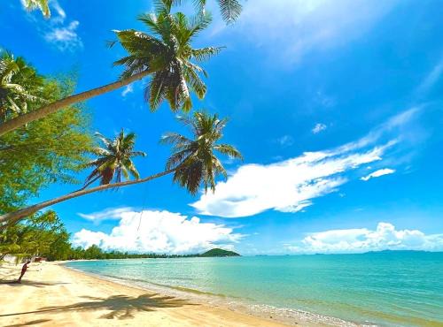 Lipa Lodge Beach Resort in Koh Samui
