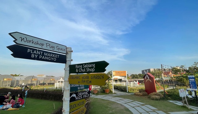 Oasis in the heart of Bangkok in Krung Thep Maha Nakhon