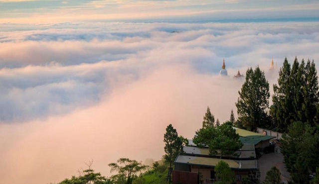 Pino Latte Khao Kho in Ban Huai Phai