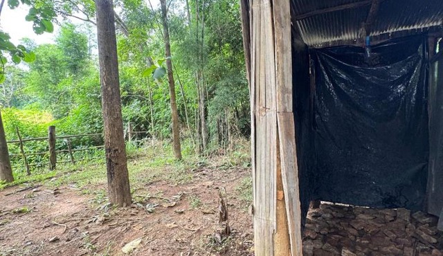 Watchara organic farm in Ban Pang Teom