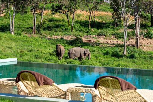Wild Cottages Elephant Sanctuary Resort in Koh Samui