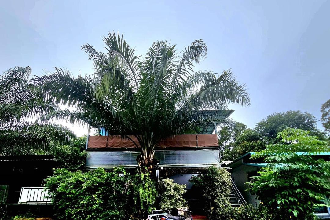 Ko Chang Apartment | Kai Bae Loft