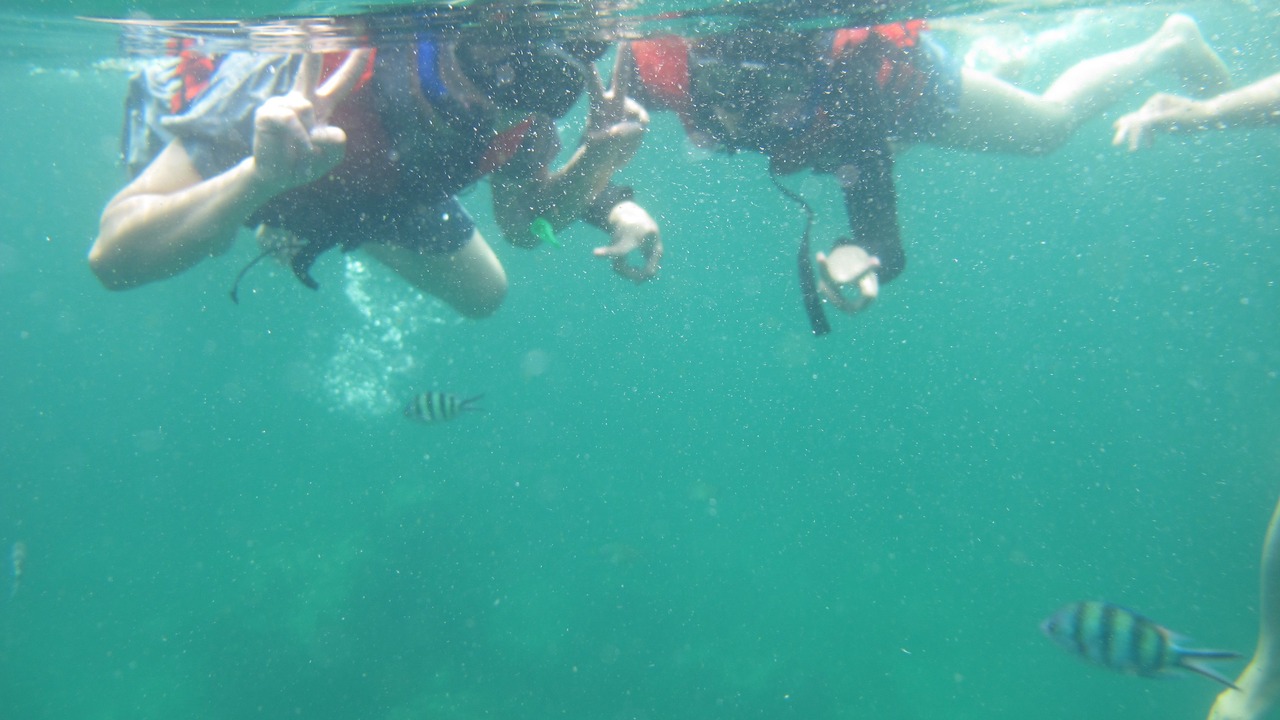 Photo of Others in Thong Chai