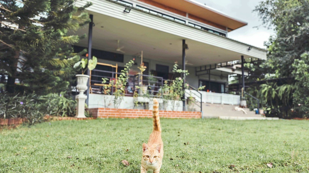 Photo of Outdoor in Pak Chong