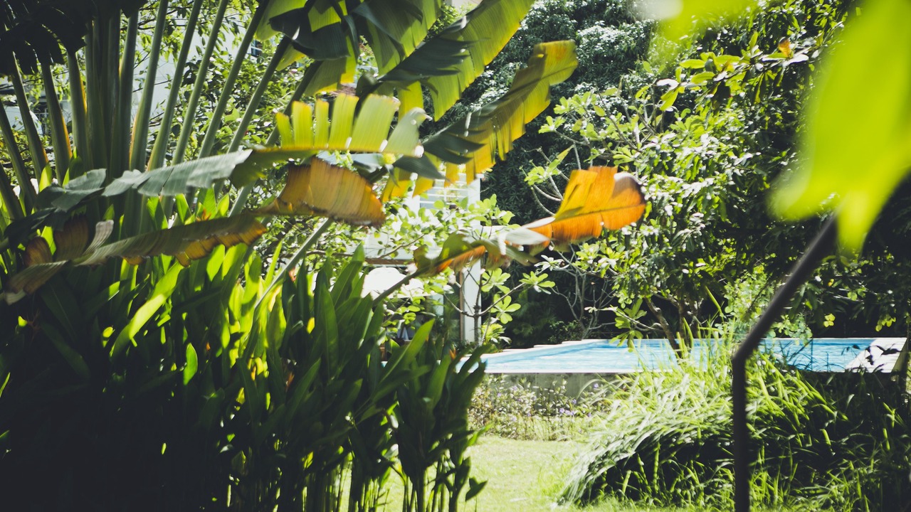 Photo of Outdoor in Chamkar Mon
