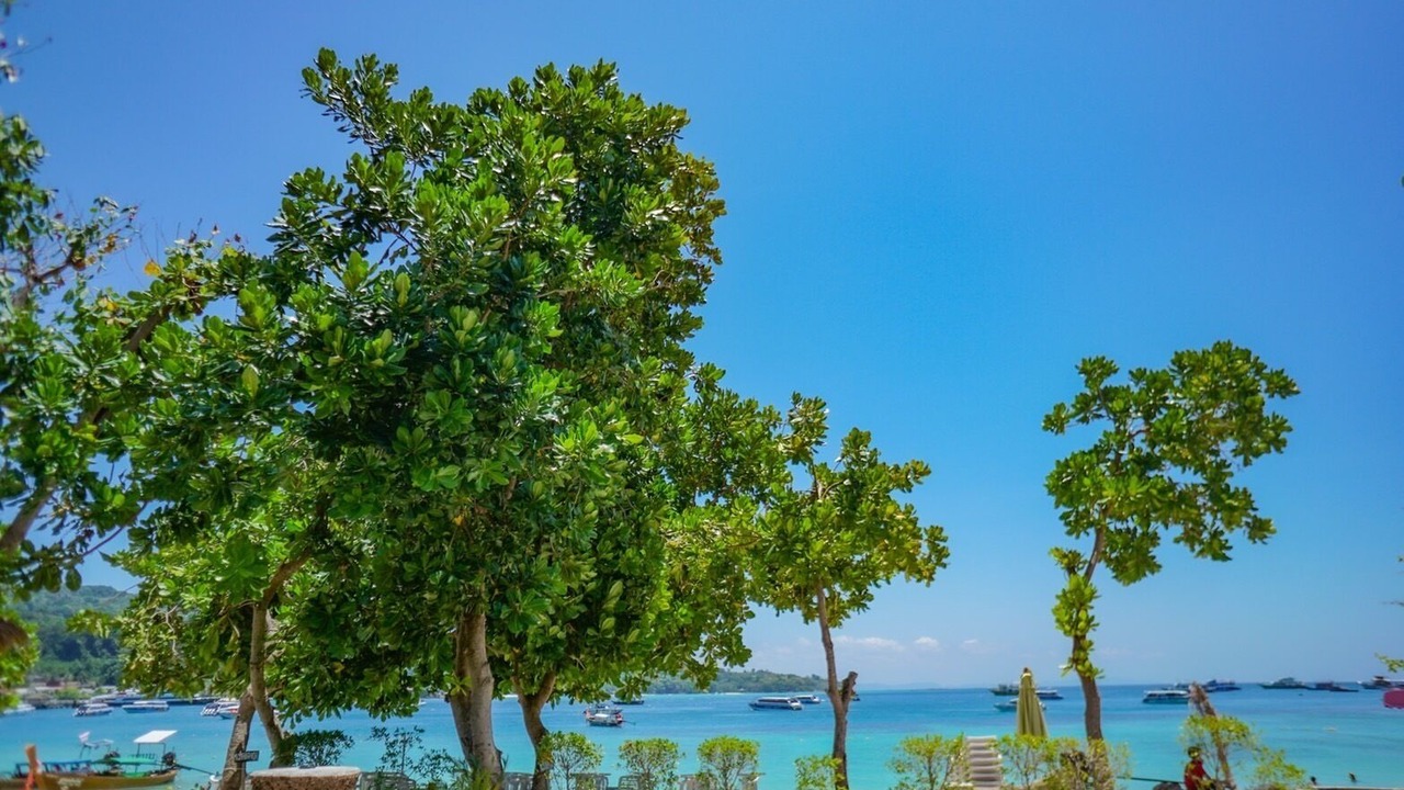 Photo of Outdoor in Ko Phi Phi