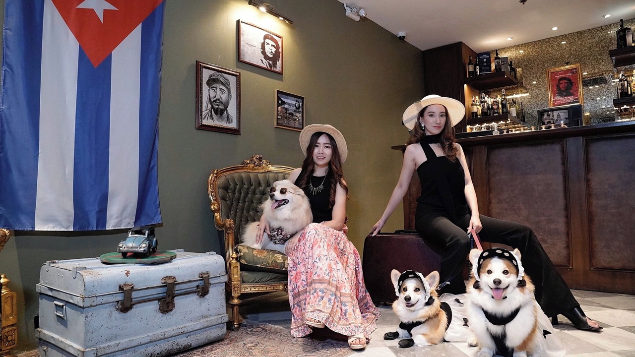 Photo of Others in Central Pattaya
