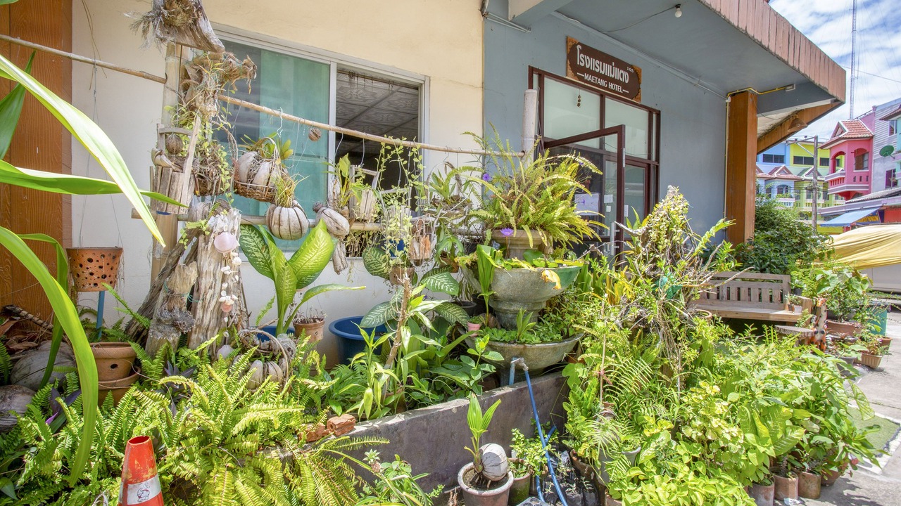 Photo of Outdoor in Mae Taeng