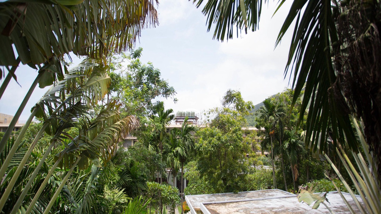 Photo of Outdoor in Kata