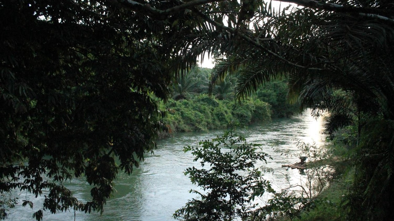 Photo of Outdoor in Khlong Sok