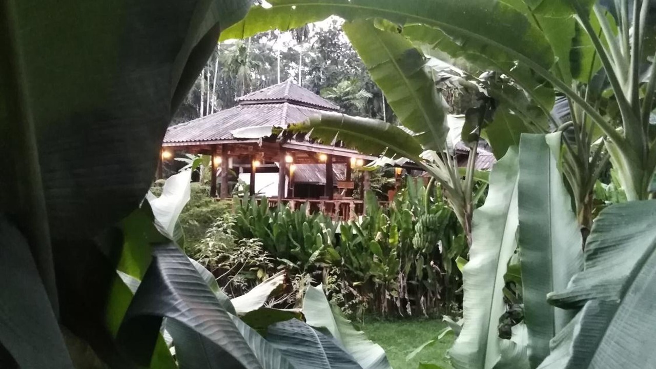 Photo of Outdoor in Khlong Sok