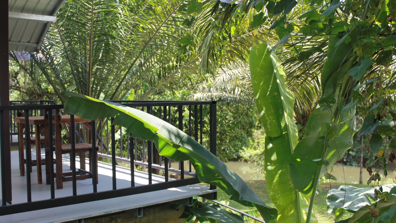 Photo of Outdoor in Khlong Sok