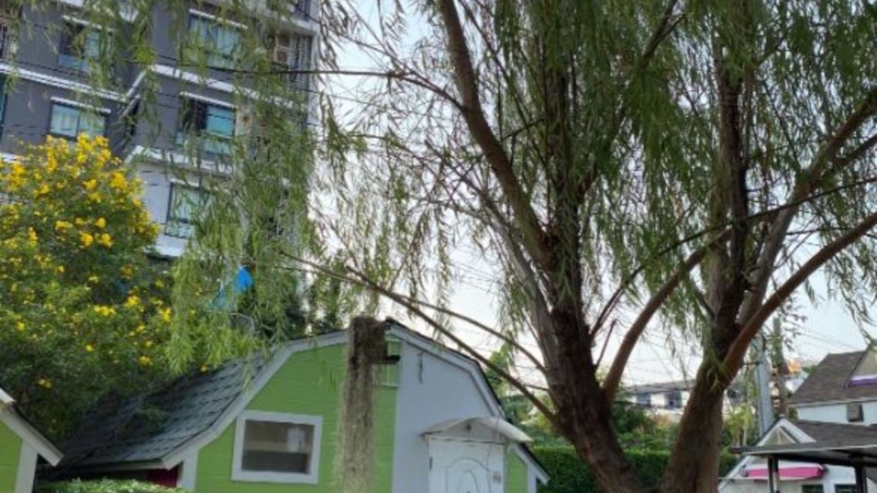 Photo of Outdoor in Bang Na