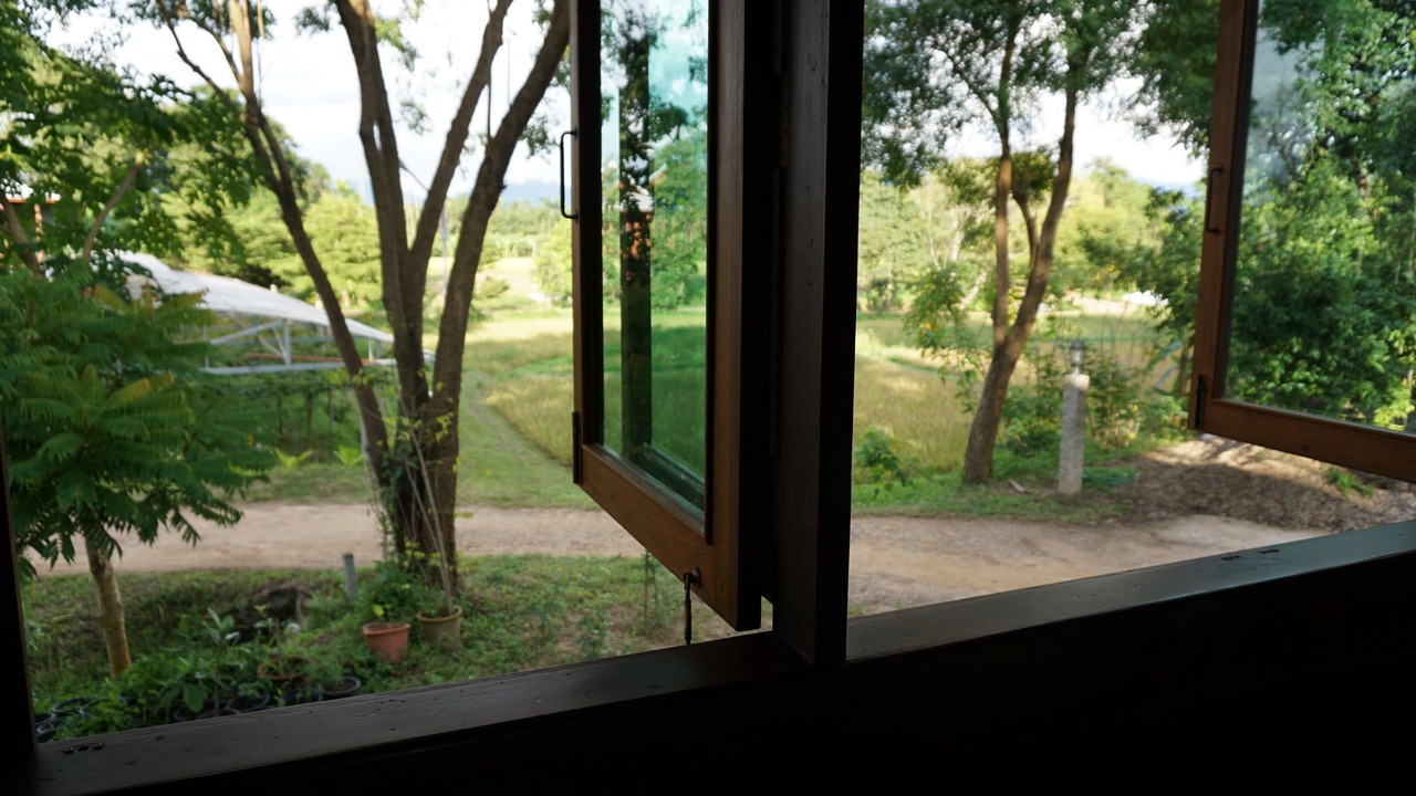 Photo of Others in Chiang Dao