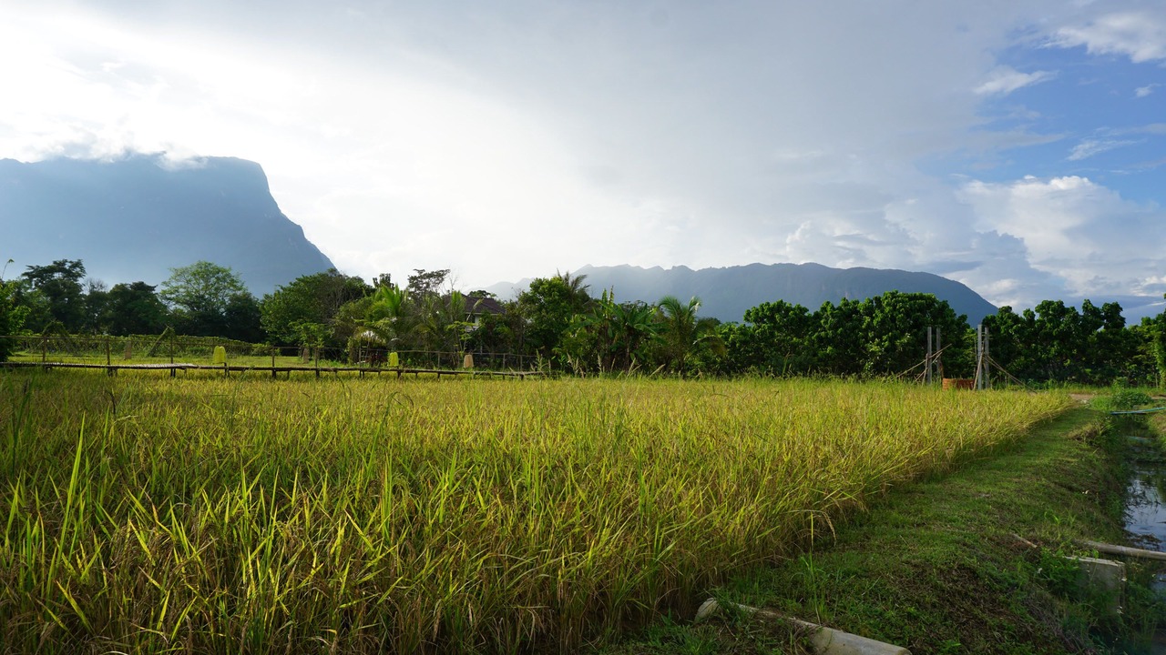 Photo of Outdoor in Chiang Dao