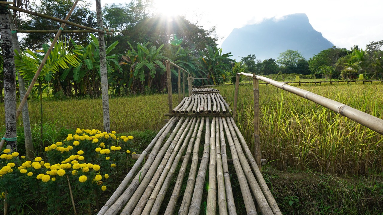 Photo of Outdoor in Chiang Dao