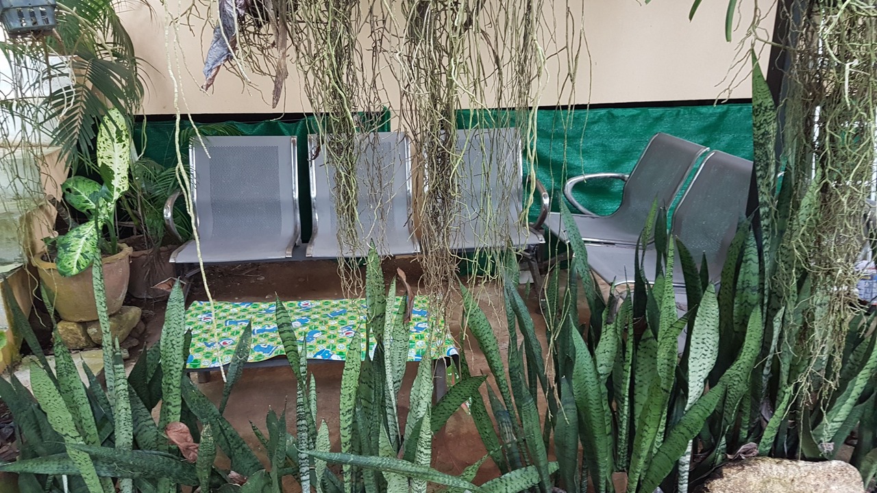 Photo of Bedroom in Bai Lan